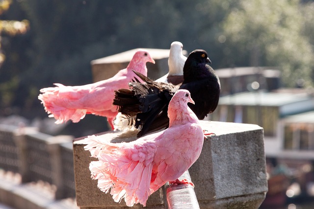 為身體健康 為身體健康