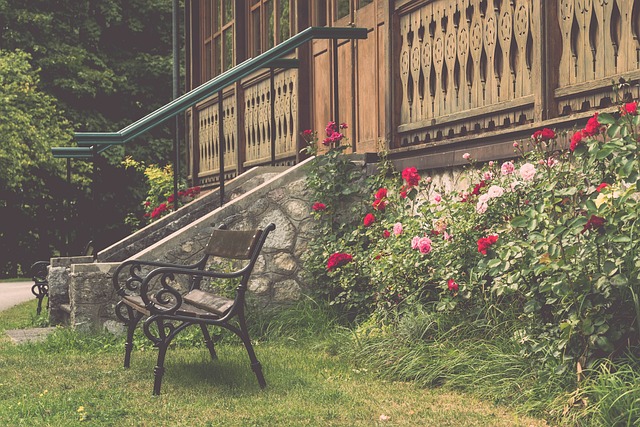 成为了中国 成为了中国