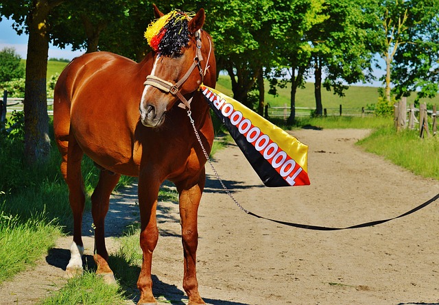边路全能战 边路全能战