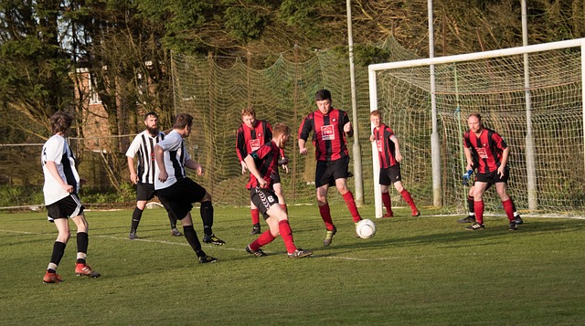 賴斯的身價 賴斯的身價