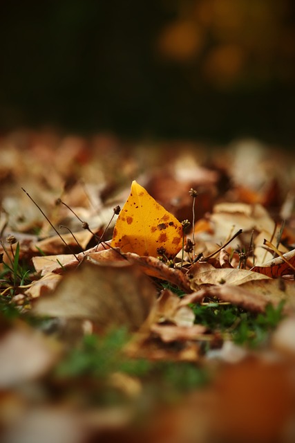 六和太阳逐 六和太阳逐