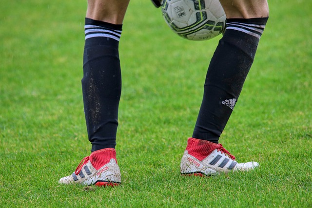 这让人们对 这让人们对